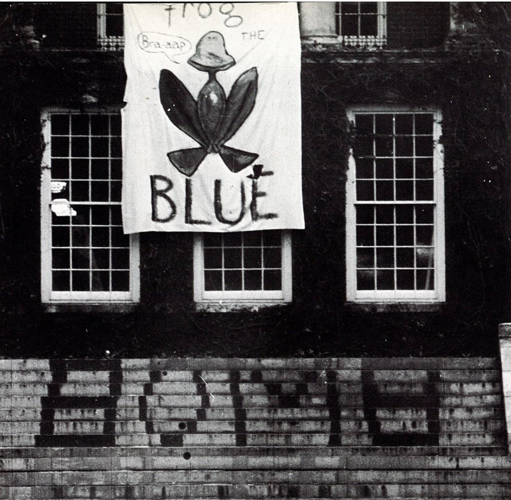 Frog The Blue Banner Project